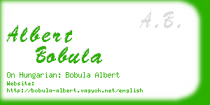 albert bobula business card